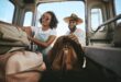 5 conseils pour l'entretien d'une voiture d'occasion en été