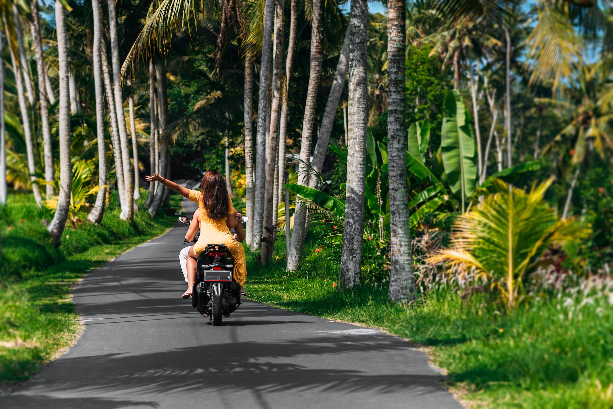 Couple en scooter sur une route entourée de palmiers