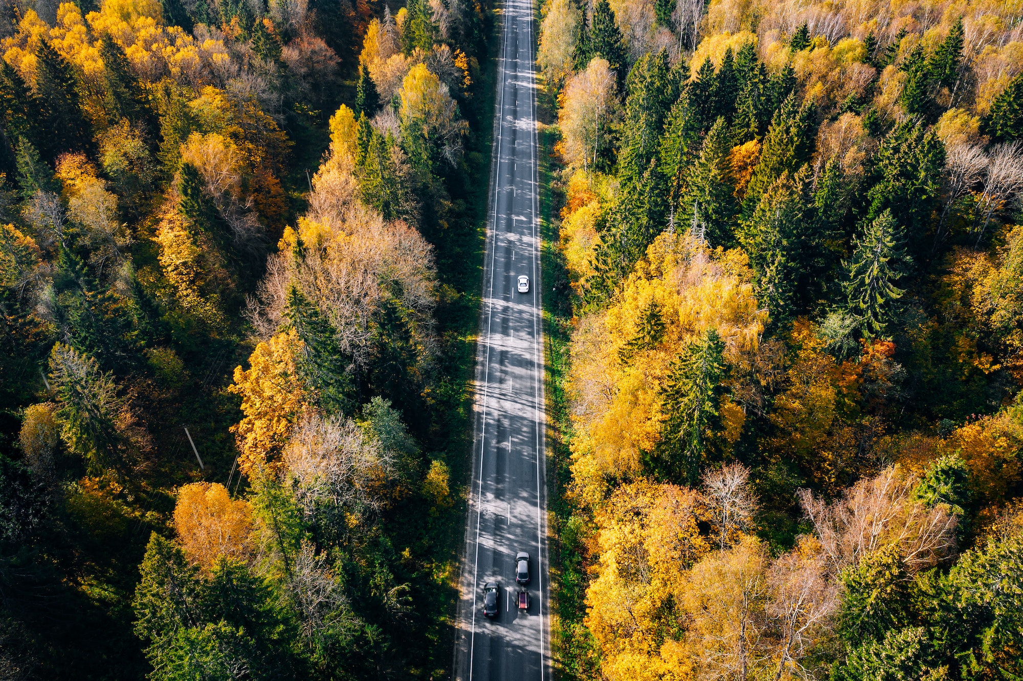 Vue aérienne d'une route dans une forêt d'automne aux feuilles rouges et orange.