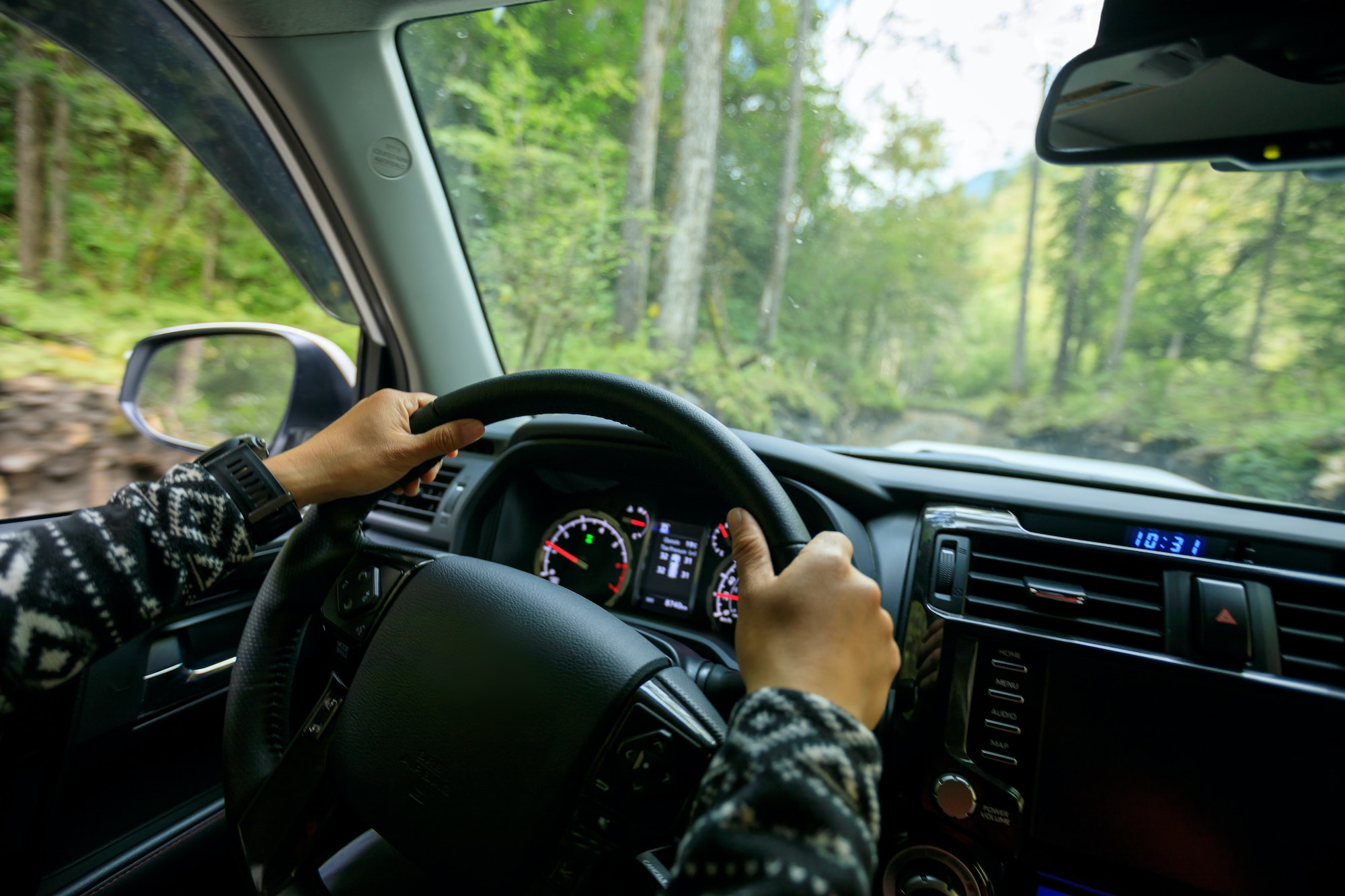 Conduite en pleine forêt