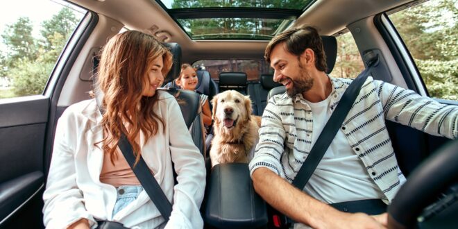 Comment voyager avec un chien en voiture