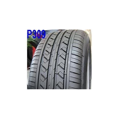 175/70R14 88H XL P309