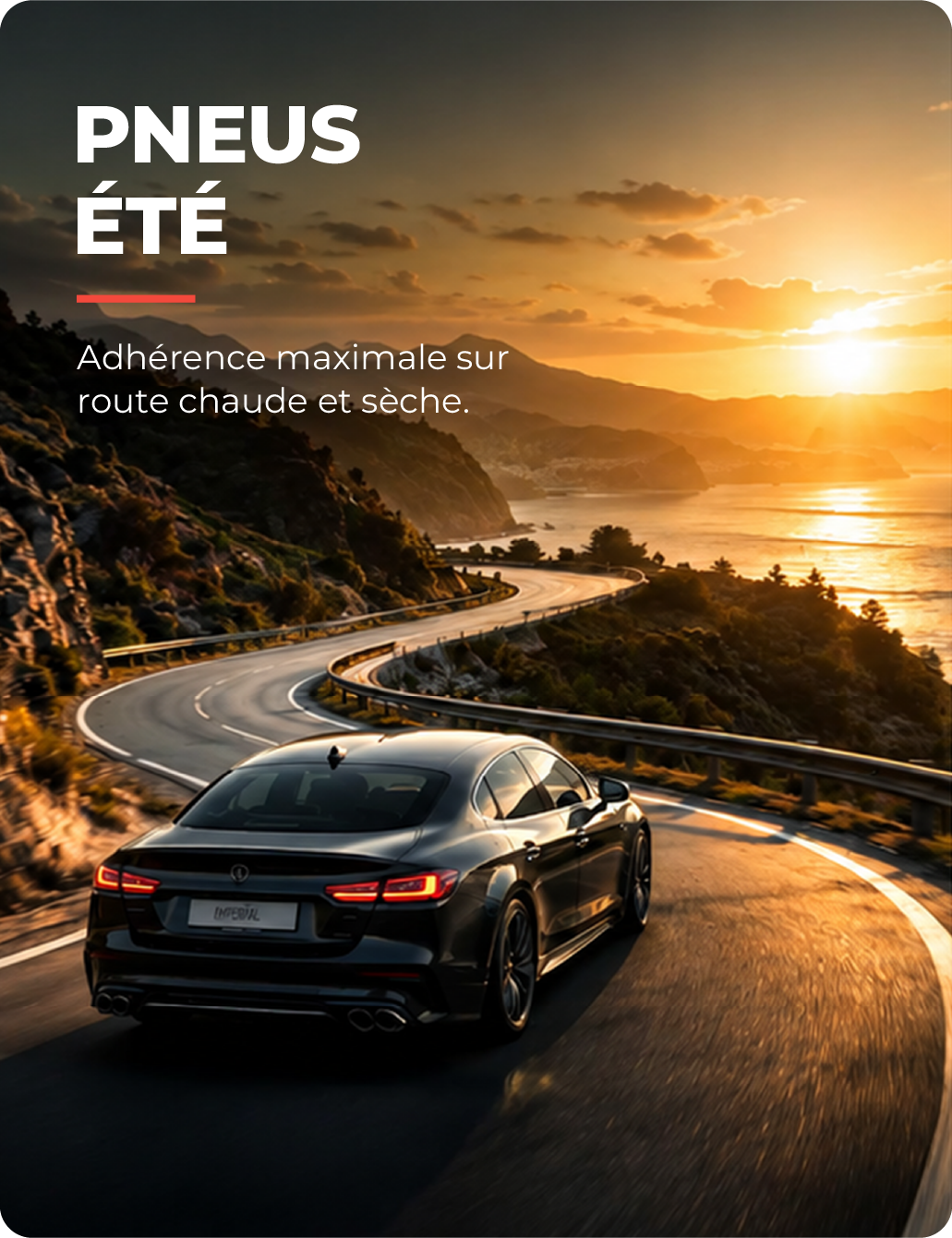 DÉCOUVRIR TOUTE LA GAMME